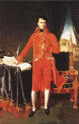 Jean Auguste Dominique Ingres Napoleon Bonaparte in the Uniform of the First Consul (mk04) china oil painting image